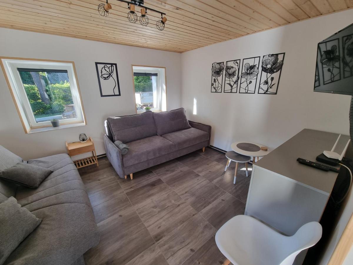 Apartamenty Salamandra Kłodzko Extérieur photo