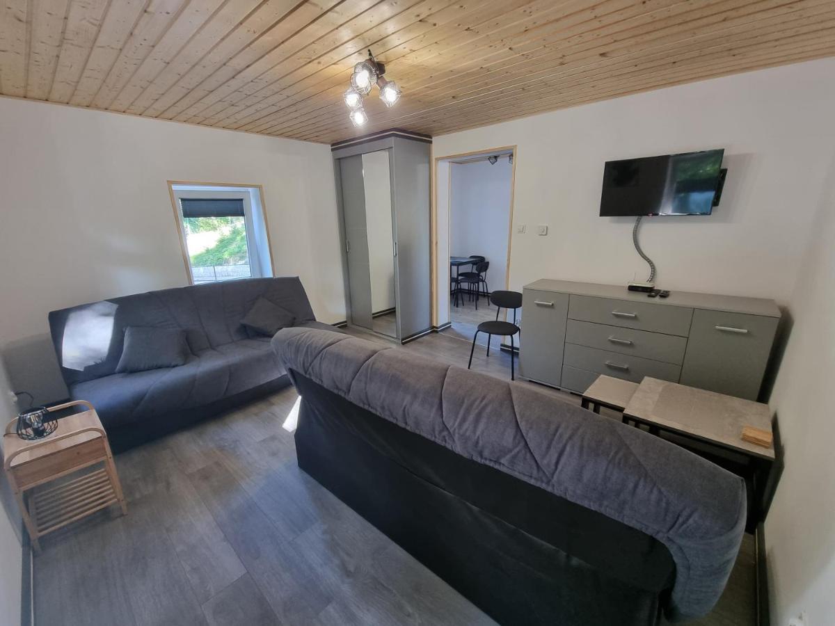 Apartamenty Salamandra Kłodzko Extérieur photo