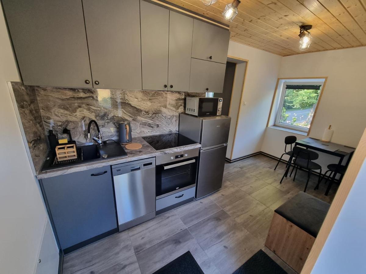 Apartamenty Salamandra Kłodzko Extérieur photo