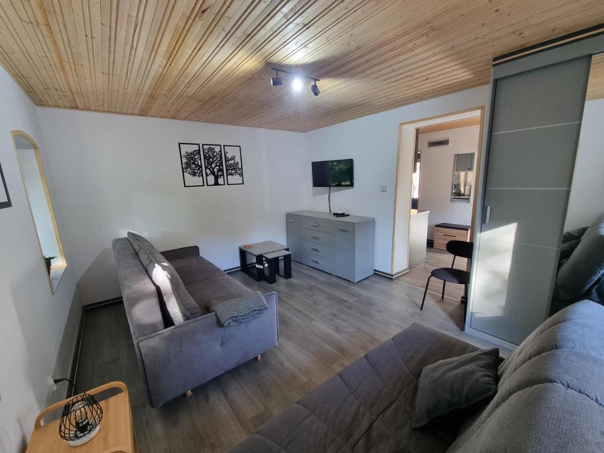 Apartamenty Salamandra Kłodzko Extérieur photo